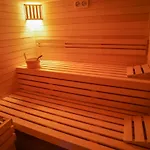 Liliowe & Wellness Apartament Murzasichle