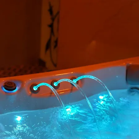 Liliowe & Wellness * Murzasichle