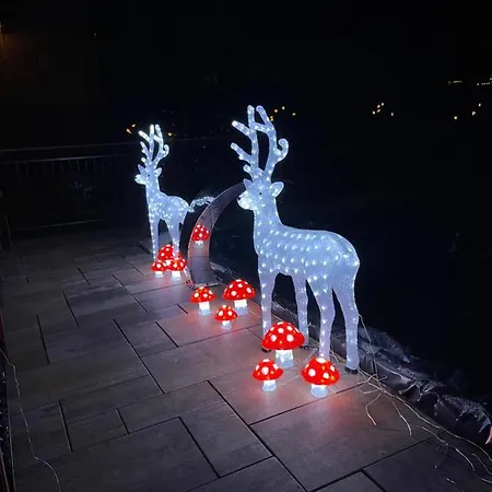 Liliowe & Wellness Murzasichle