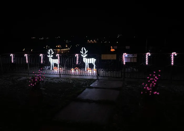 Liliowe & Wellness * Murzasichle