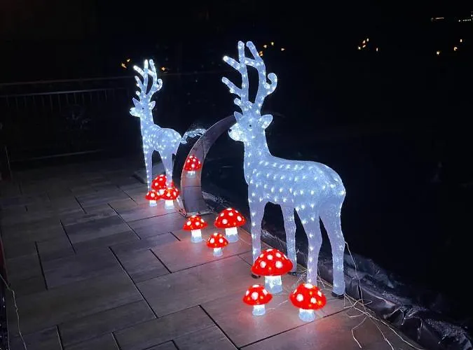 Liliowe & Wellness Murzasichle